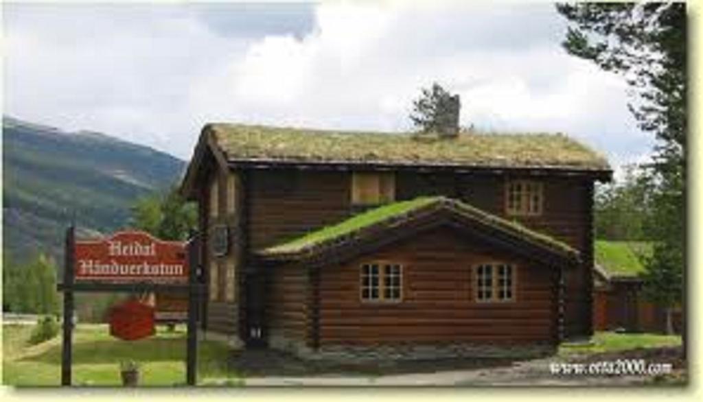 Lusaeter Timber Cabins Heidal Luaran gambar